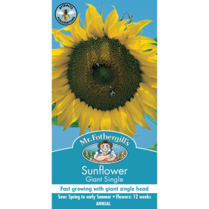 Sunflower Giant Russian Seeds